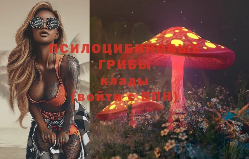 Псилоцибиновые грибы Magic Shrooms  Крымск 